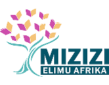 Mizizi-Elimu-Afrika-e1773828316689