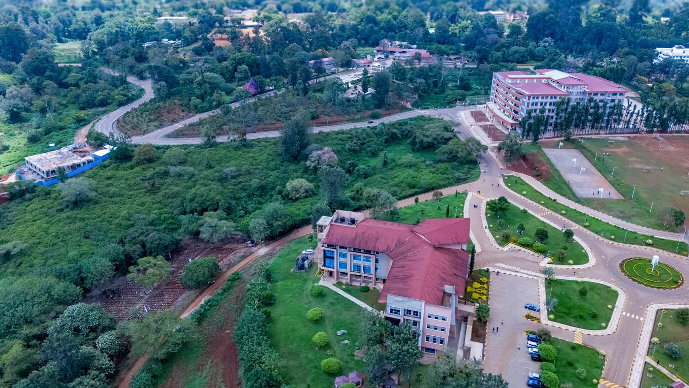 Aerial view of the Dam 5 Nature Trail tree planting